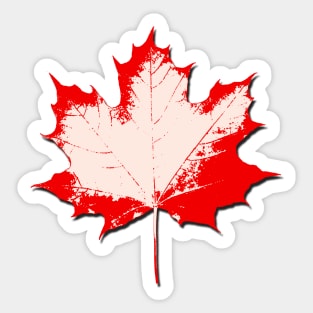 Maple Leaf Stamp light Sticker